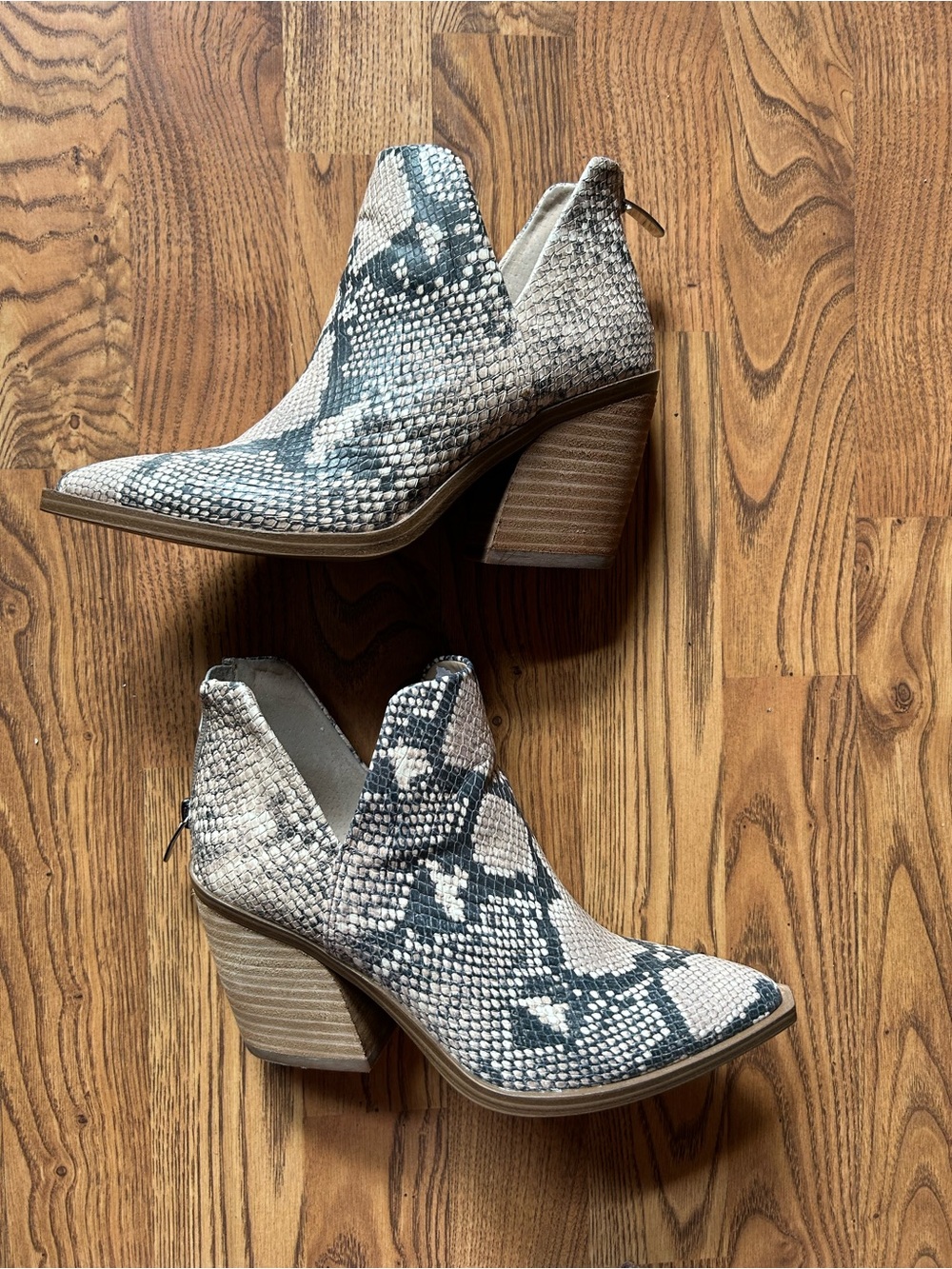 Steve Madden Gray and Cream Snake-Print Cutout Ankle Booties
